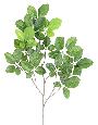 Feuillage artificiel Branche Hêtre Grandifolia - composition florale - H.65cm vert