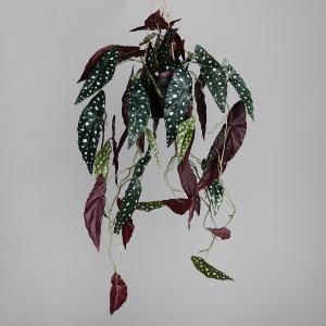 Feuillage artificiel chute de Bégonia Muculata en pot - plante retombante d'intérieur - H.90cm
