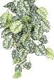 Feuillage artificiel chute de Scindapsus en piquet - plante verte intérieur - H.75cm vert