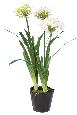 Fleur artificielle Agapanthe en motte - plante d'intérieur - H.90cm blanc