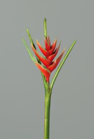 Fleur artificielle Héliconia bec de perroquet - fresh touch haute qualité - H.126cm rouge