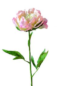 Fleur artificielle Pivoine Beauty - création de bouquet - H.70cm rose clair