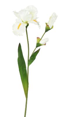Fleur artificielle iris 1 fleur 2 boutons - décoration d'intérieur - H. 74cm blanc