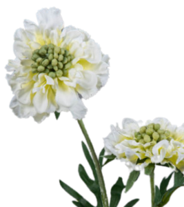 Fleur artificielle tige de Scabiosa - composition florale - H.55cm crème