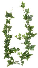 Guirlande artificielle Lierre anglais 68 feuilles - intérieur - H.180cm vert