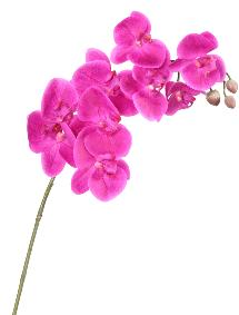 Orchidée artificielle Phalaenopsis 9 fleurs - création bouquet - H.98cm fuchsia