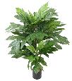 Plante artificielle Artocarpus Altilis - arbre à pain pour intérieur - H.100cm