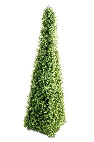 Plante artificielle Buis Topiaire pyramide NEW - intérieur extérieur - H.160cm vert