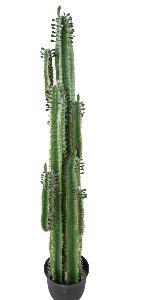 Plante artificielle Cactus Finger avec feuilles - Plante pour intérieur - H.185cm vert