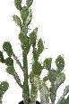 Plante artificielle Cactus Plat - Plante pour intérieur - H. 104cm vert