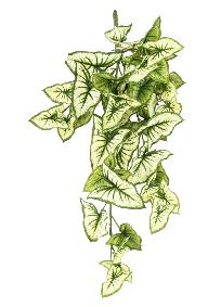 Plante artificielle Syngonium en piquet - décoration d'intérieur - H.60cm panaché