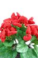 Plante artificielle fleurie Calcéolaire - Plante synthétique - H.30 cm rouge