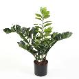Plante artificielle verte Zamioculcas - décoration pour intérieur - H.60cm