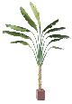 Plante tropicale artificielle Arbre du voyageur - plante intérieur - H.350cm