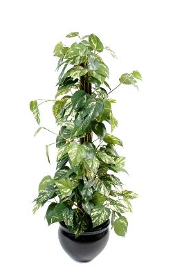 Plante verte artificielle Pothos tuteur coco - plante d'intérieur - H.100cm vert