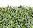 Plaque végétale artificielle Buis - 300 feuilles UV résistant - H. 25cm vert