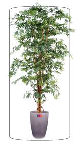 Arbre forestier artificiel Aralia new - plante d'intérieur - H.180cm vert
