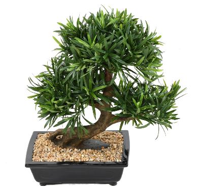 Bonsaï Podocarpus artificiel en coupe - plante synthétique intérieur - H.50cm