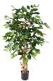 Arbre artificiel Caféier fleurs tronc noueux - plante d'intérieur - H.150cm
