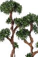 Arbre artificiel Podocarpus Tree 5 têtes - plante artificielle intérieur - H.140cm