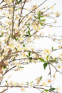 Arbre artificiel fleuri Cerisier en fleurs - plante synthétique - H.220cm blanc