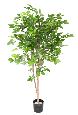 Arbre forestier artificiel Hêtre Grandifolia - décoration d'intérieur - H.160cm