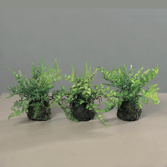 Assortiment de 3 Fougères artificielles socle mousse - plante d'intérieur - H.19cm vert