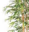 Bambou artificiel Gamme Eco 7 cannes 1500 feuilles - intérieur - H.200cm vert