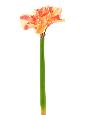 Fleur à la tige Amaryllis artificielle - composition - H.90 cm rouge crème