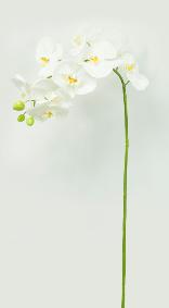 Fleur à la tige Orchidée artificielle Phalaenopsis - haute qualité - H.100cm