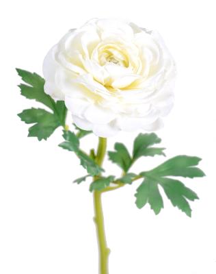 Fleur artificielle Renoncule en tissu - création de bouquet - H.58 cm blanc