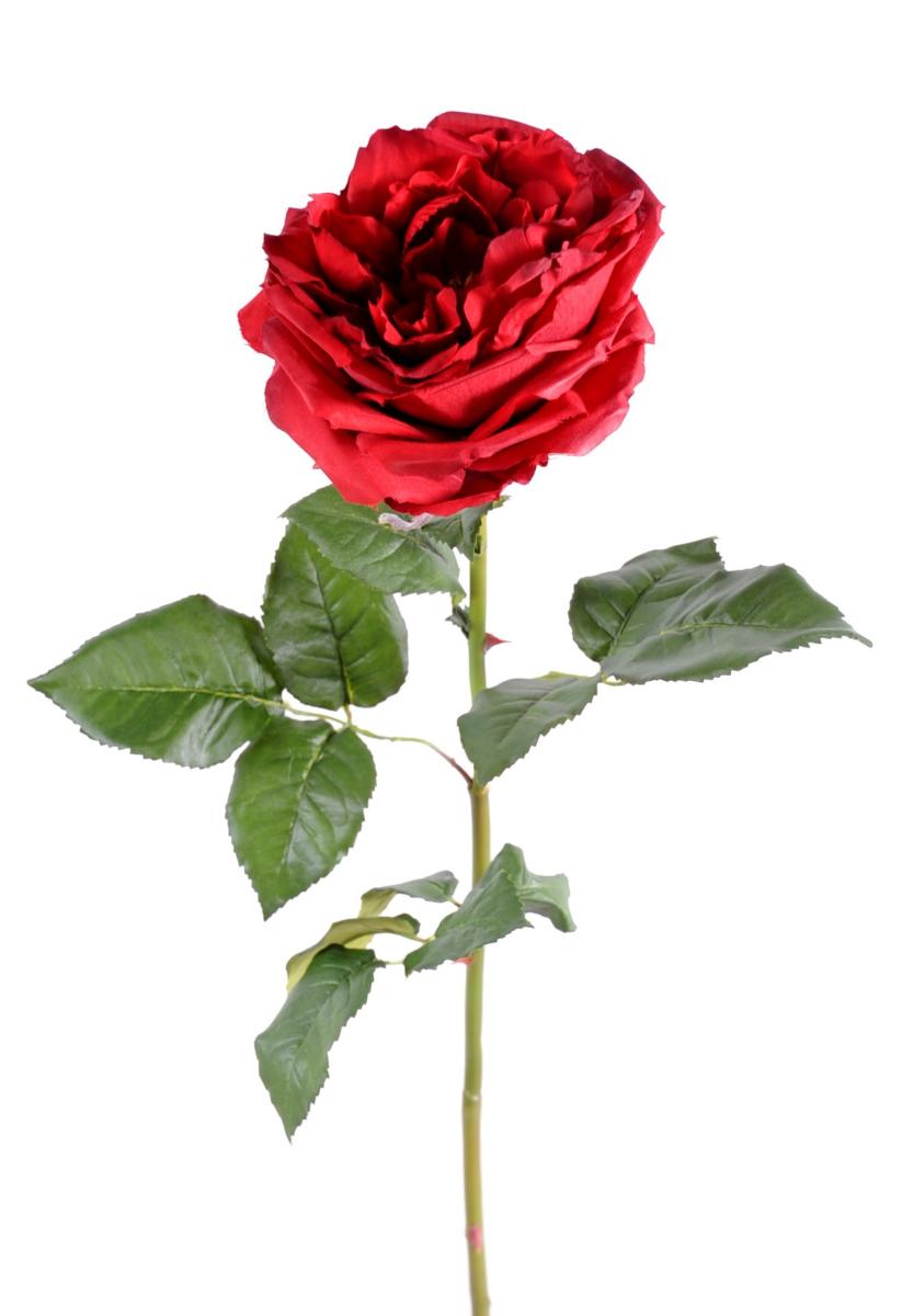 Fleur artificielle rose Anglaise Ø.14 cm - haute gamme - H.85 cm rouge