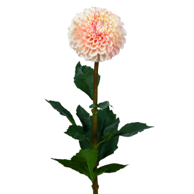 Fleur artificielle tige de Dahlia - composition florale - H.96cm crème rose