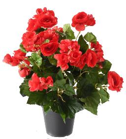 Fleurs artificielles Bégonia - plante en piquet - H.30 cm rouge