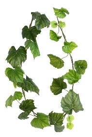 Guirlande artificielle de vigne vierge - décoration d'intérieur - H.180cm vert