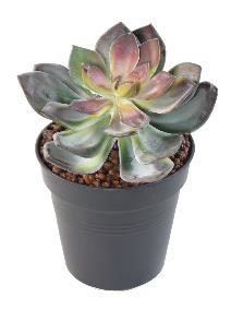Mini plante artificielle Succulente VR - cactus artificiel intérieur - H.16 cm