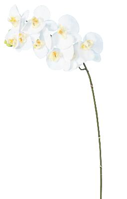 Orchidée artificielle Phalaenopsis 9 fleurs - création bouquet - H.98 cm blanc