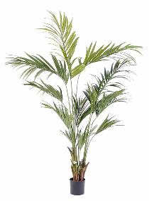 Palmier artificiel kentia Palm - décoration d'intérieur - H.210cm vert