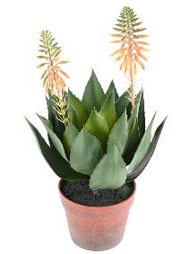 Plante artificielle Agave fleurie en pot - cactus artificiel intérieur - H.50cm vert