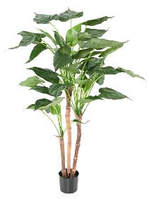Plante artificielle Alocasia Cucullata - plante tropicale d'intérieur - H.110cm