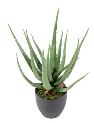 Plante artificielle Aloe vera en pot - plante pour intérieur - H.60cm vert