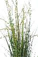 Plante artificielle Berry Onion Grass en pot - intérieur - H.120cm vert