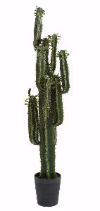 Plante artificielle Cactus Finger avec feuilles - Plante pour intérieur - H.150cm vert