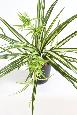 Plante artificielle Chlorophytum en piquet - déco d'intérieur - H.60cm panaché