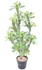 Plante artificielle Euphorbe lactée - Plante pour intérieur - H.110cm vert