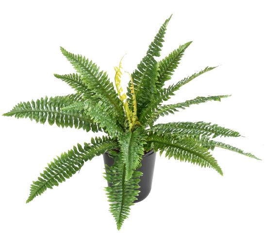 Plante artificielle Fougère en piquet 19 feuilles - plante d'intérieur - H.50cm vert