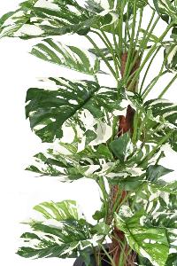 Plante artificielle Philodendron tuteur coco - plante d'intérieur - H.160cm panaché