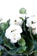 Plante fleurie artificielle - Géranium en piquet - H.35 cm blanc