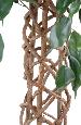 Arbre artificiel Ficus tronc cage - plante intérieure - H.140cm vert