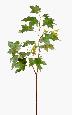 Feuillage artificiel Erable branche - composition florale intérieure - H.100 cm vert